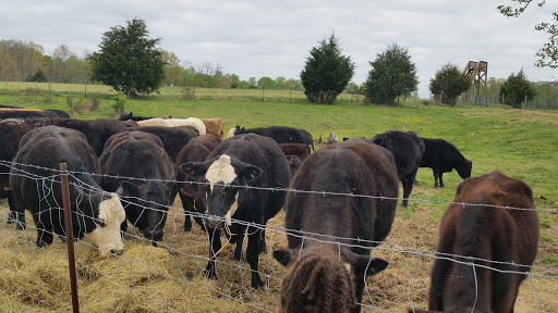 Tourist Attraction «Middleton Farm», reviews and photos, 13250 Cedar Hill Pl, Waldorf, MD 20601, USA