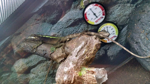 Pet Supply Store «Petco Animal Supplies», reviews and photos, 1049 S Willow St, Manchester, NH 03103, USA