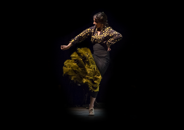 Lourdes Fernandez Flamenco Dance School