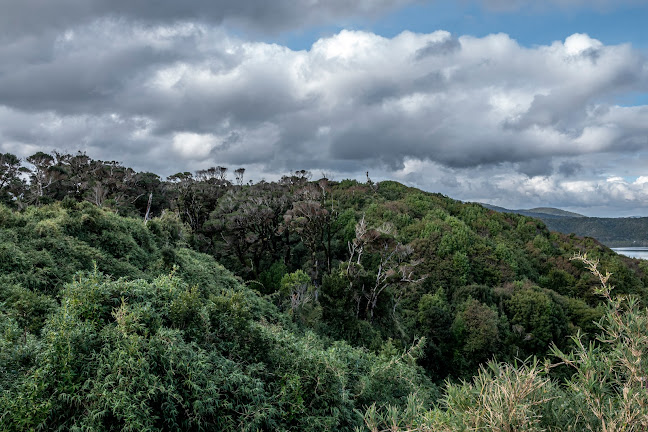 Comentarios y opiniones de Parque Nacional Chiloé