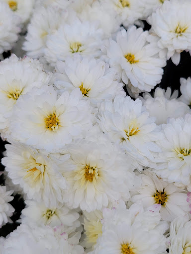 Park «Van Der Donck Park», reviews and photos, 41 Dock St, Yonkers, NY 10701, USA