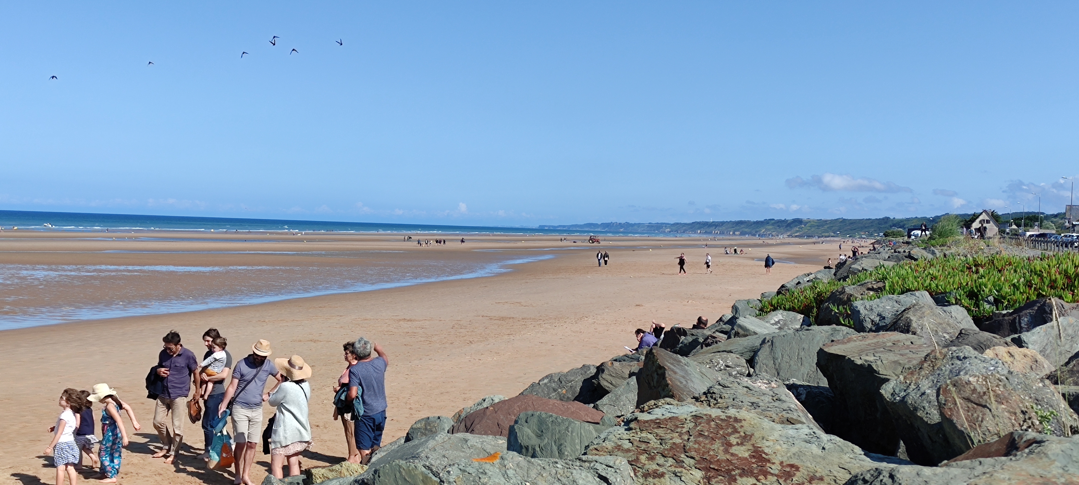 Photo n° 5 de l'avis de Jérôme.R fait le 23/08/2021 à 09:16