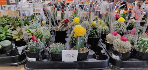 Home Improvement Store «The Home Depot», reviews and photos, 1200 Home Depot Blvd, Sunset Valley, TX 78745, USA