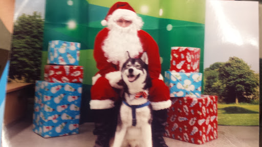 Pet Supply Store «Petco Animal Supplies», reviews and photos, 38069 Town Center Dr #222, Millville, DE 19967, USA