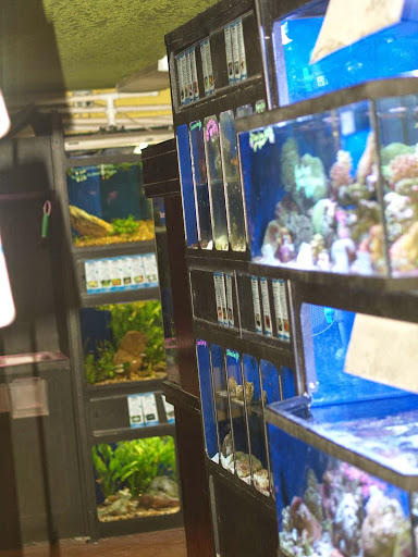 Pet Store «Critter Cabana», reviews and photos, 516 E 1st St, Newberg, OR 97132, USA