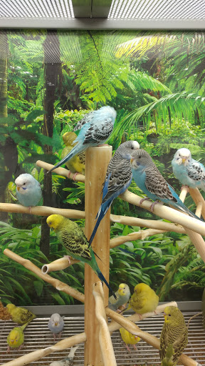 Pet Supply Store «Petco Animal Supplies», reviews and photos, 1203 SE Everett Mall Way f, Everett, WA 98208, USA