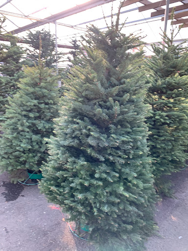 Garden Center «Pike Nurseries», reviews and photos, 615 W Crossville Rd, Roswell, GA 30075, USA