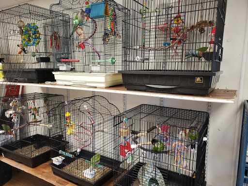 Bird Shop «Parrot & Bird Emporium Inc», reviews and photos, 360 N Westfield St, Feeding Hills, MA 01030, USA