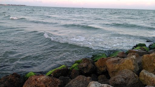 Aquarium «The Aquarium at Rockport Harbor, Inc.», reviews and photos, 706 Navigation Cir, Rockport, TX 78382, USA