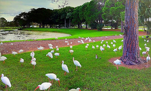 Golf Course «Golf Club Of Jupiter Inc», reviews and photos, 1800 Central Blvd, Jupiter, FL 33458, USA