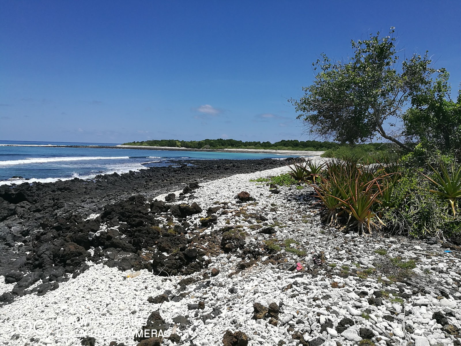 Photo de Plage Gountsini avec un niveau de propreté de très propre