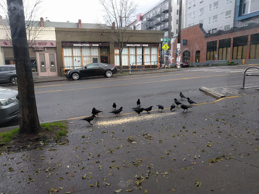 Coffee Shop «Kaladi Brothers Coffee», reviews and photos, 517 E Pike St, Seattle, WA 98122, USA