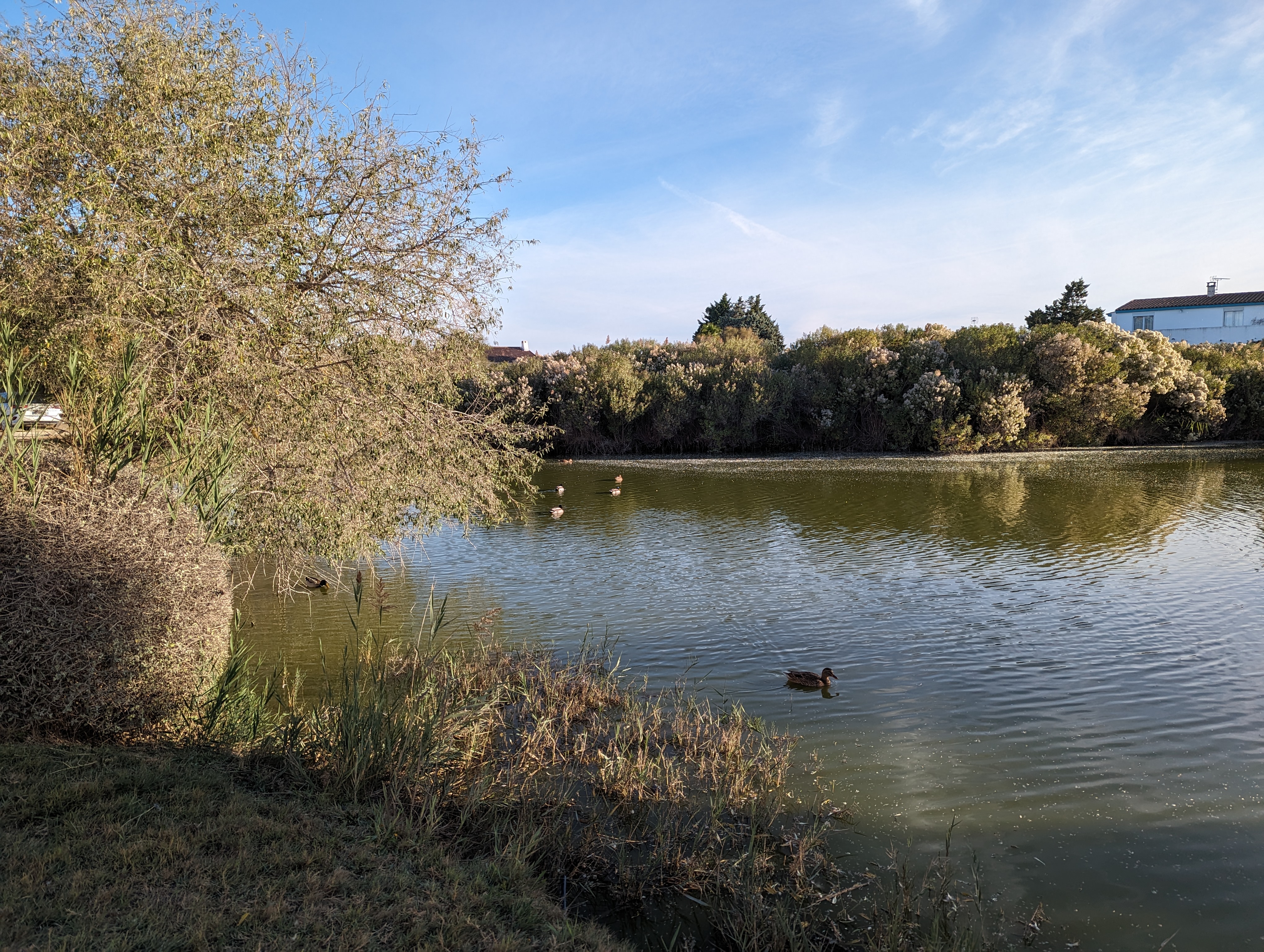 Photo n° 5 de l'avis de Fabienne.o fait le 15/10/2023 à 15:11