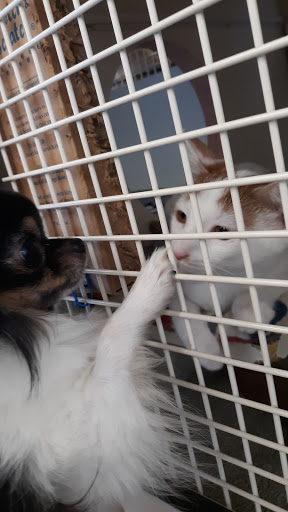 Pet Supply Store «Petco Animal Supplies», reviews and photos, 28400 Dequindre Rd, Warren, MI 48092, USA