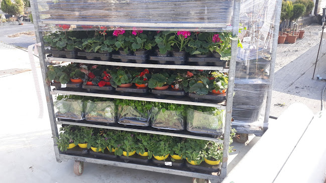 Северна промишлена зона, ул. „Професор Яким Якимов“ 7, 8000 Бургас