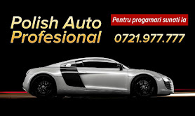 Polish Auto Profesional