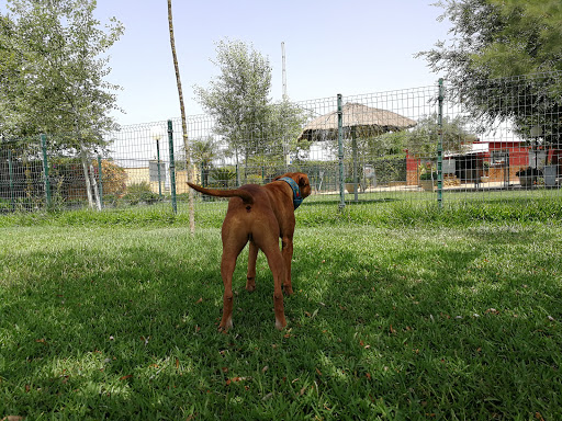 Canine and Feline residence Ruta de la Plata