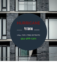 Hurricane Pest Control - Photo 4 - Car repair in , Fort Lauderdale