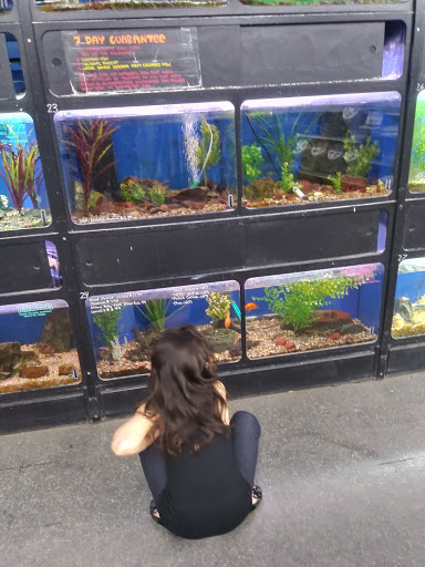 Pet Supply Store «Pet Club Santa Rosa», reviews and photos, 1935 Santa Rosa Ave, Santa Rosa, CA 95407, USA