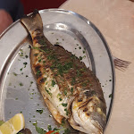 Photo n°2 de l'avis de Gerdi.p fait le 09/05/2022 à 19:32 sur le  Trattoria Ca' Sabbioni à Venice