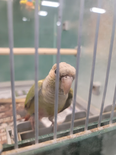 Pet Supply Store «Pet Supplies Plus», reviews and photos, 2057 S Telegraph Rd, Bloomfield Hills, MI 48302, USA