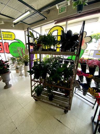 Florist «Sunfresh Flower Mart», reviews and photos, 14507 Hawthorne Blvd, Lawndale, CA 90260, USA