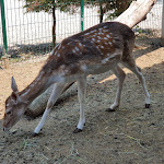 Photo n°2 de l'avis de Paolo.u fait le 16/06/2020 à 10:43 sur le  Agriturismo Il Piccolo Brolo à Crema