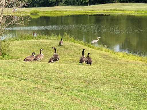 Country Club «Culpeper Country Club», reviews and photos, 2100 Country Club Rd, Culpeper, VA 22701, USA