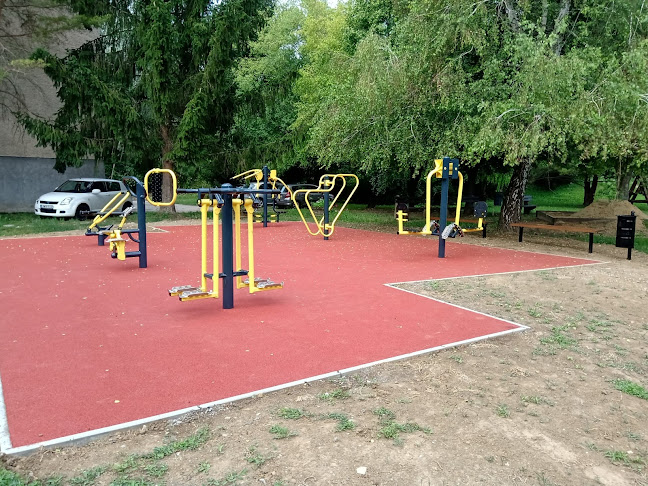 Értékelések erről a helyről: Zarányi Street workout park, Kaposvár - Edzőterem
