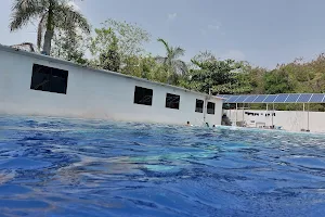 Narhare Swimming Pool image