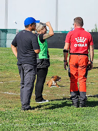 Photo n°16 de Educ. Sport Canin Aux Mill's Poils à Saint-Martin-sur-Ocre ()