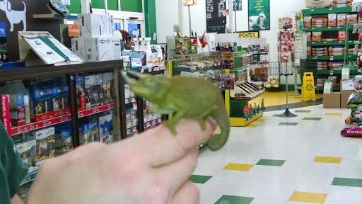 Pet Supply Store «Pet Supplies Plus», reviews and photos, 690 N State St, Westerville, OH 43082, USA