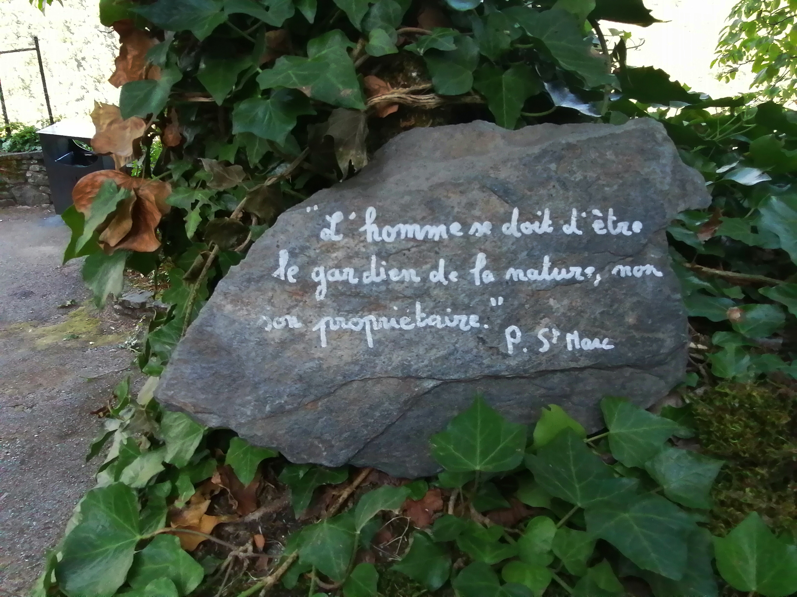 Photo n° 10 de l'avis de francis.o fait le 18/08/2020 à 13:49