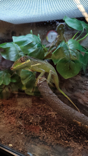 Pet Supply Store «Petco Animal Supplies», reviews and photos, 2131 Pleasant Hill Rd, Duluth, GA 30096, USA