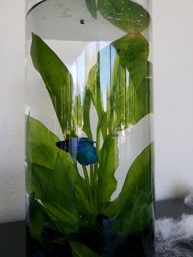 Absolute Integrative Physical Medicine image