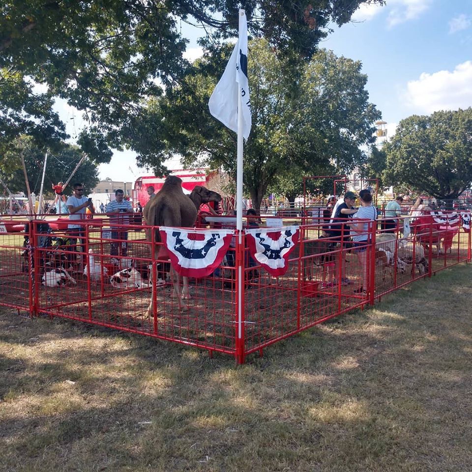 Carriages Camels And Critters LLC