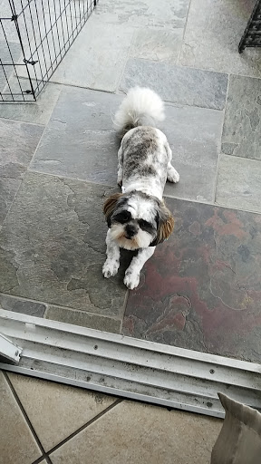 Pet Groomer «ITIG Happy Dog Wash», reviews and photos, 6465 S Chickasaw Trail, Orlando, FL 32829, USA