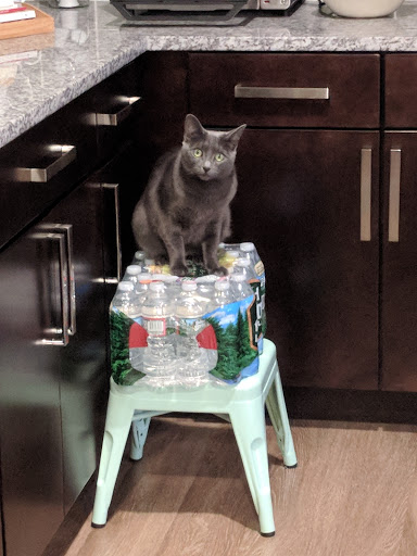 Movie Theater «Stoneham Theatre», reviews and photos, 395 Main St, Stoneham, MA 02180, USA