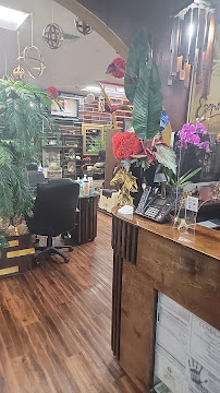 Expo Salon - Photo 7 - Car repair in Austin, TX, Austin