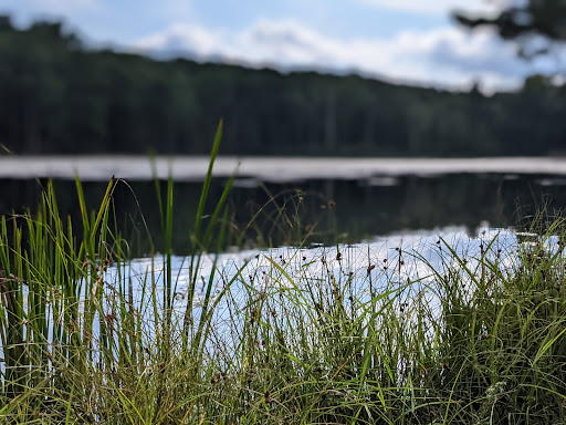 Outdoor Sports Store «Maple Hill Disc Golf», reviews and photos, 132 Marshall St, Leicester, MA 01524, USA