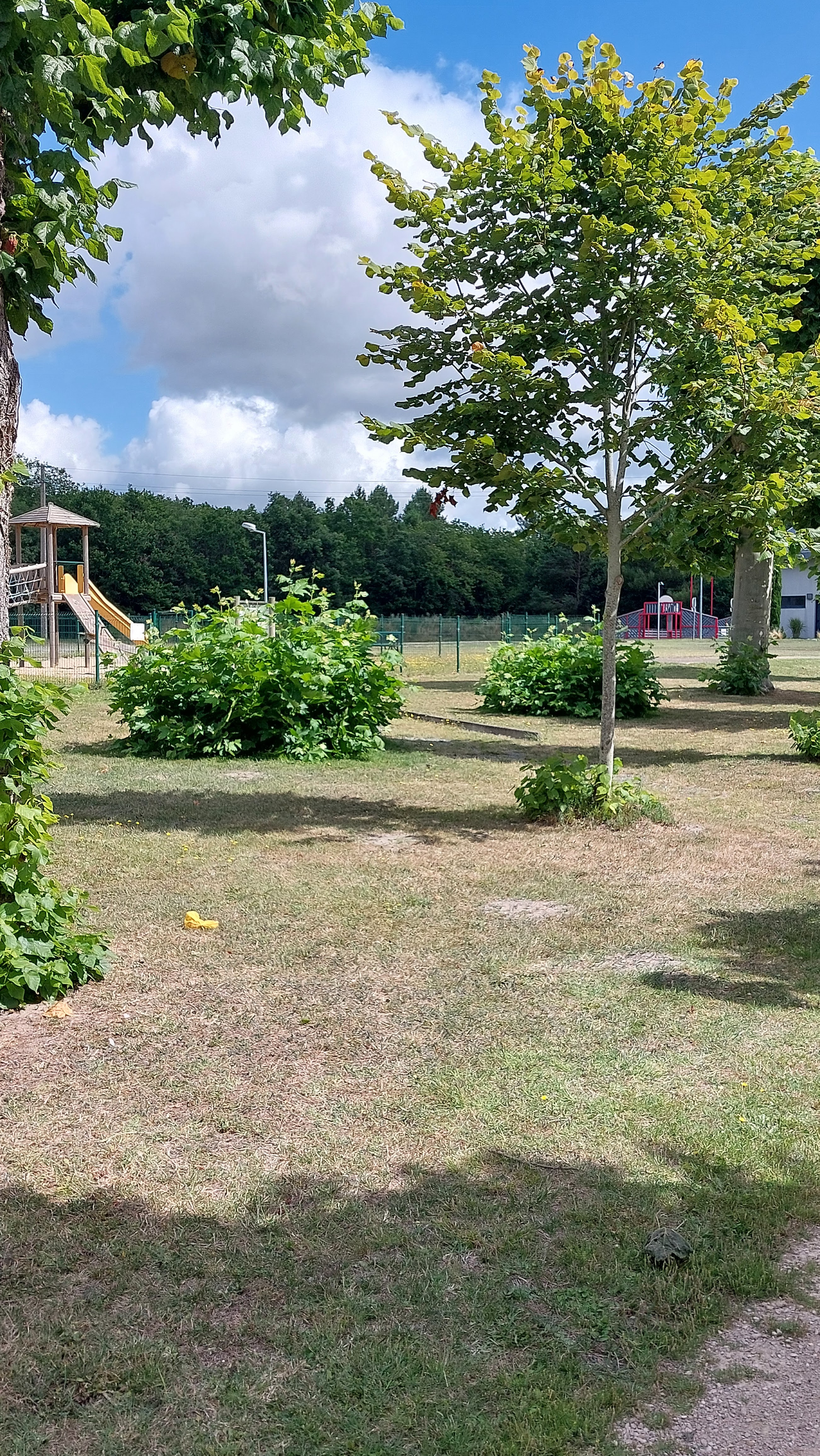Photo n° 6 de l'avis de Stéphane.e fait le 19/07/2023 à 19:43