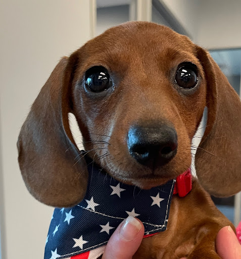 Family Law Attorney «Best Law Firm», reviews and photos