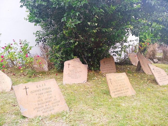 Antiguo Cementerio De San Carlos