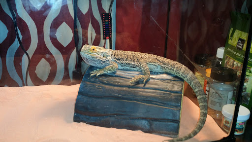 Pet Store «Species Pet Supply», reviews and photos, 1935 W Brandon Blvd, Brandon, FL 33511, USA