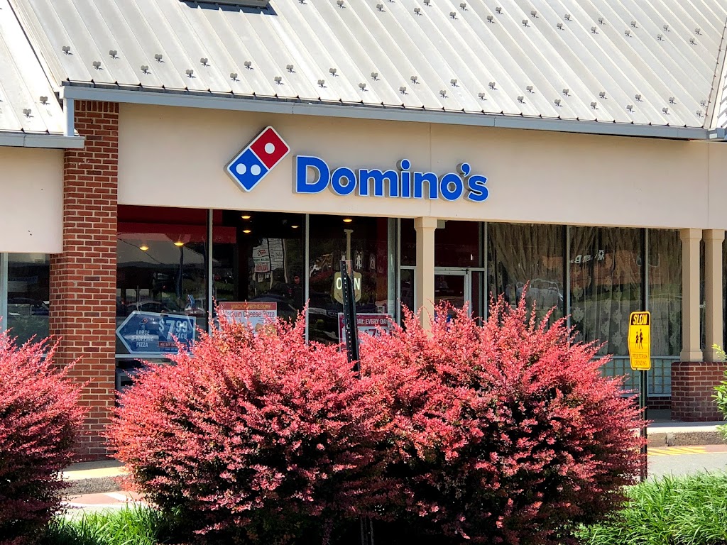 Domino's Pizza 19426