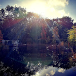 Photo n°4 de l'avis de Anne-Katrin.c fait le 07/11/2020 à 07:01 sur le  ESSENSIO Sport- Hotel - Spa à Erkrath