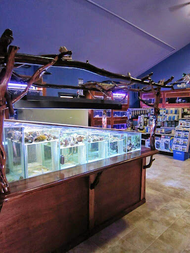Pet Store «Crystal Clear Aquariums LLC», reviews and photos, 6325 Jackrabbit Ln, Belgrade, MT 59714, USA