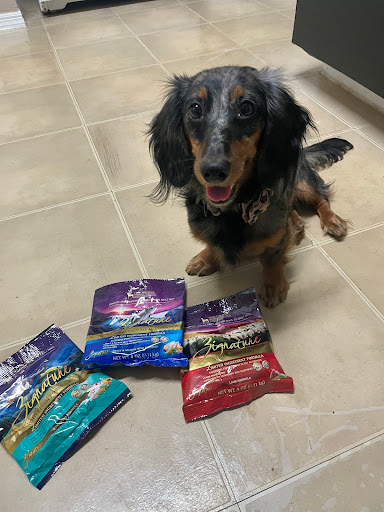 Pet Supply Store «Woof Gang Bakery & Grooming Lake Mary», reviews and photos, 1210 International Pkwy #118, Lake Mary, FL 32746, USA