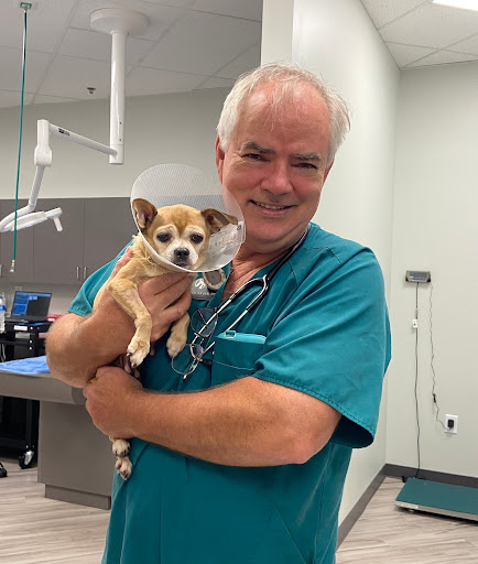 SurgiPet Affordable Surgery & Dentistry image