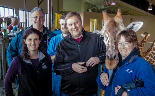 Animal Health VIPS (Veterinary Integrative & Performance Specialists) image